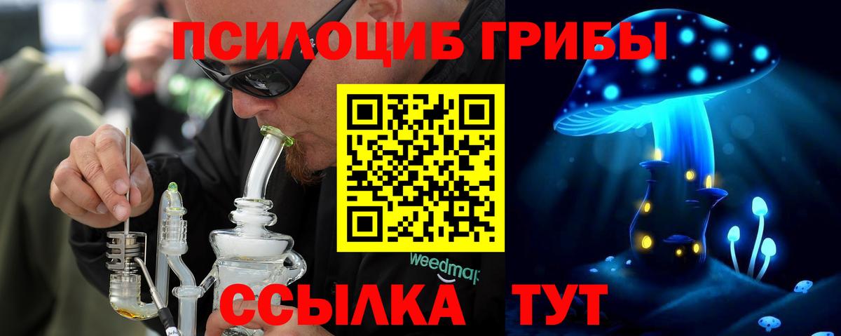 Кисловодск  как найти наркотики  Псилоцибиновые грибы MAGIC MUSHROOMS  Вход с VPN  Псилоцибиновые грибы Magic Shrooms 